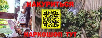 стаф Будённовск