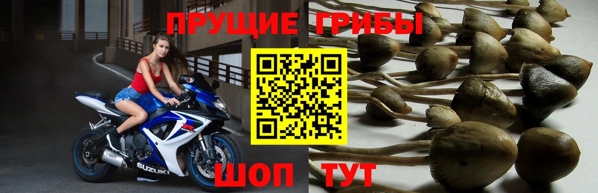 Тобольск  Меф  МАРИХУАНА  Вход с VPN  МЕФ   Гашиш  ГАШ  КОКАИН 